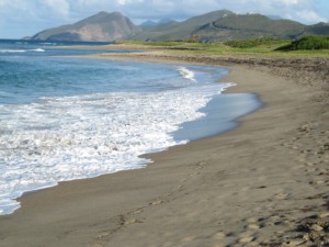 St. Kitts5