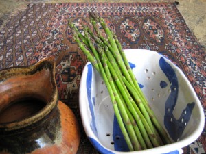 asparagus4 2011