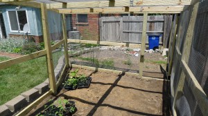 garden enclosure5