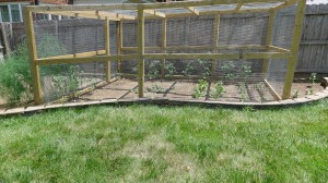 garden1 june 20, 2012