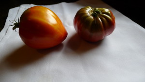 tomato still life 8-7-19